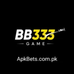 BB333 Game