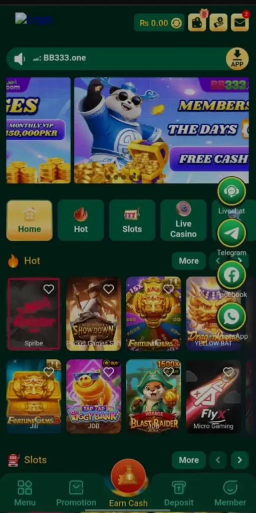 BB333 Game
