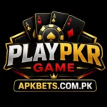 playpkr game