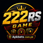 222RS Game