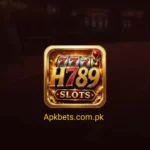 H789 Game
